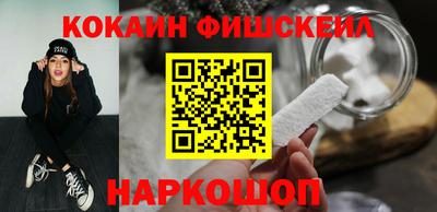 a pvp Камышлов