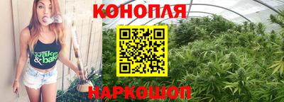 a pvp Камышлов